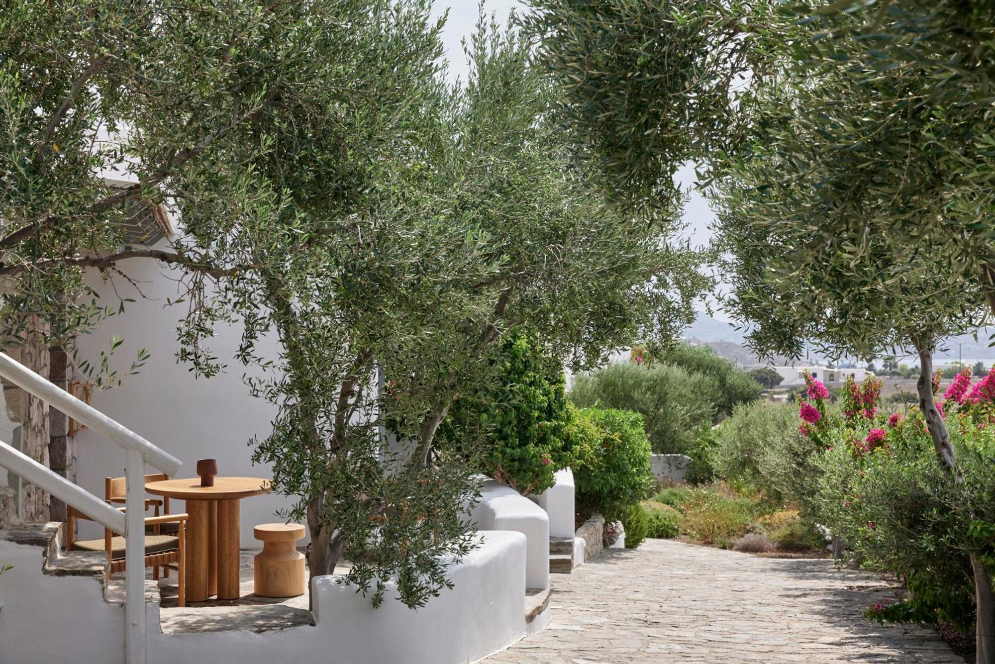 Ferienwohnung Iliana Olive Branch Adamantas  Exterior foto